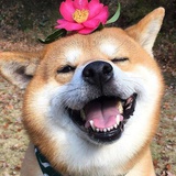 🍙