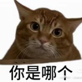 飞天谷猪