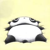胖帕熊