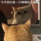 冰淇淋甜甜圈