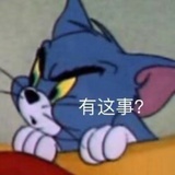 猫猫快跑