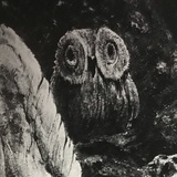扑棱扑棱