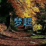 梦起文学