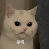 梭子蟹