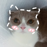 谷子哒哒