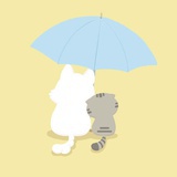 不要脸的八万