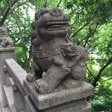 那就这样吧