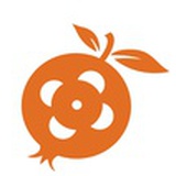 石榴君