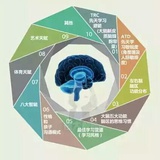 DIG大脑领航家