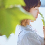 己岛