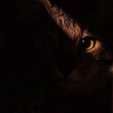 Sabine