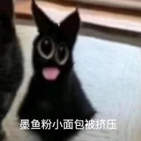 藏镜蝴蝶🦋