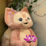 寻