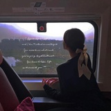 树上猫