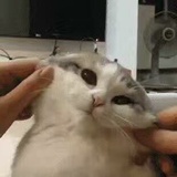 空气