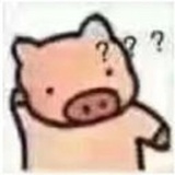 茶酒不离身