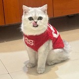 鱼鱼