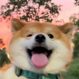 是谁吃了我的脑