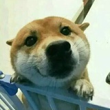 看热闹