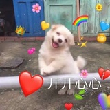 小车厘子
