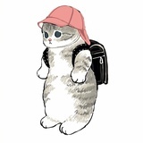 蒙特卡洛