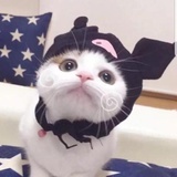 思想行动小巨人