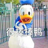 肥崽不吃胡萝卜