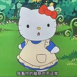 小猫狂想