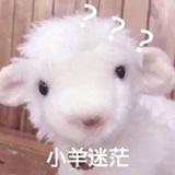 不加糖