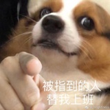 匿名