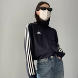 暮听风临