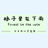 林子里在下雨