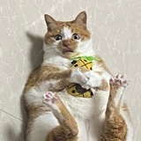 电梯观光团