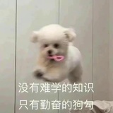 佚名