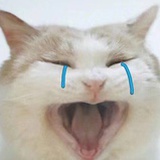 江上峰