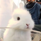 豆豆家_