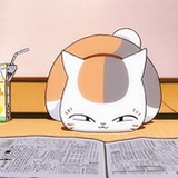 猫咪三三