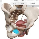 道家洗髓功