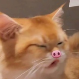 肥水快落甜