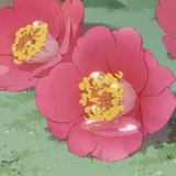 Ichbinharuhi