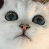 ☻