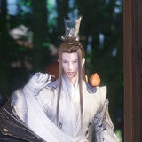 月狸