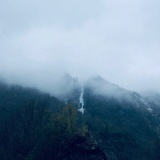 通驴性的我