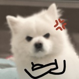 xy
