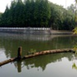 好玩