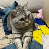 啦啦啦