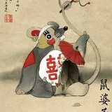 好奇小猫