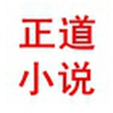 正道小说