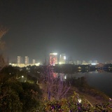 蓝小鱼。