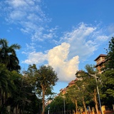 柚晶豆